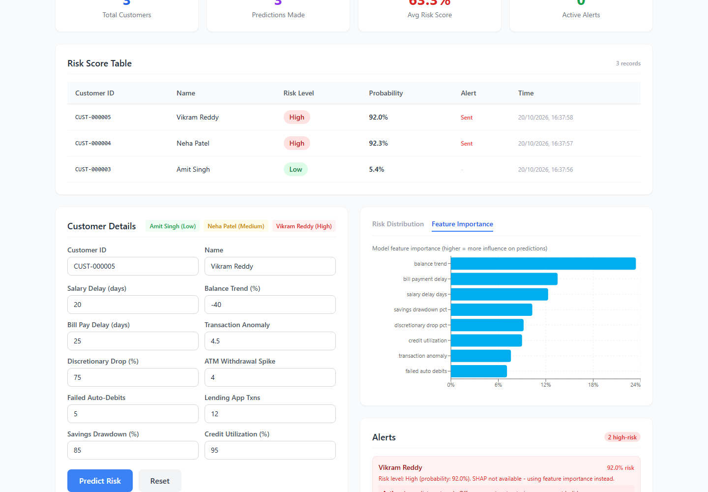 Financial Risk feature importance and prediction form